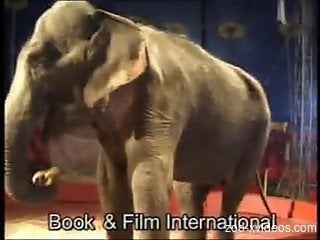 Smashing animal porn with a blonde and an elephant