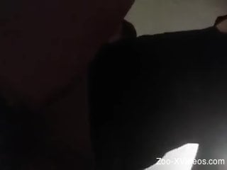 Sexy doggystyle romp with a horny little dog lover