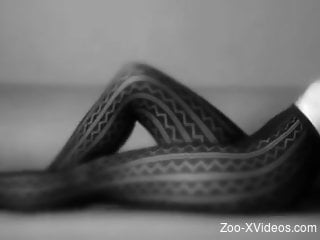 B&W masturbation session with a legit zoophile lady