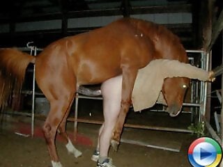 Deutsche Zoo Porno